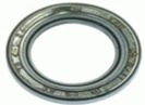 Oil seal